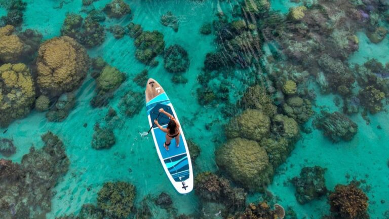 Banana Sea Club Stand Up Paddle